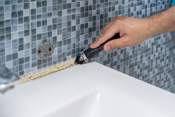 Best Localized Mold Remediation (e.g., coastal areas, humid climates) in Day Heights, OH